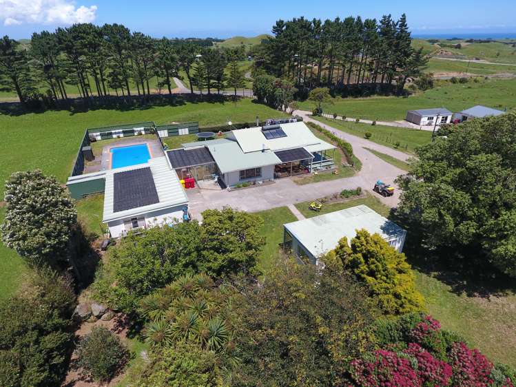 331 Warea Road Warea_10