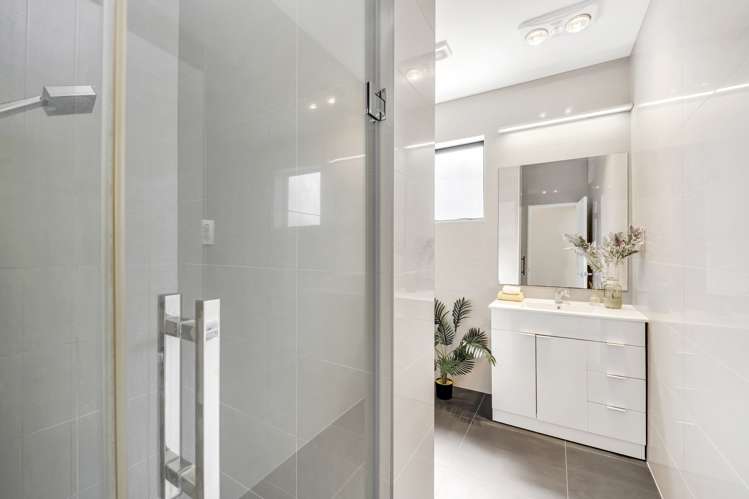 32 Helianthus Avenue Flat Bush_12