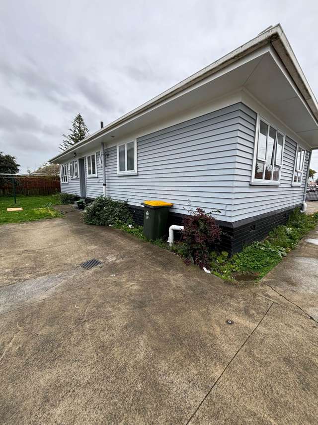 12 Wintere Road Papatoetoe_1