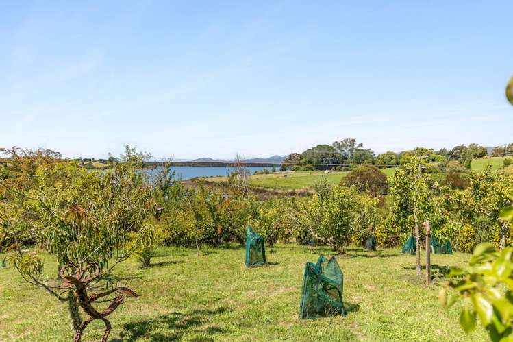 364 The Coastal Highway Redwood Valley_23