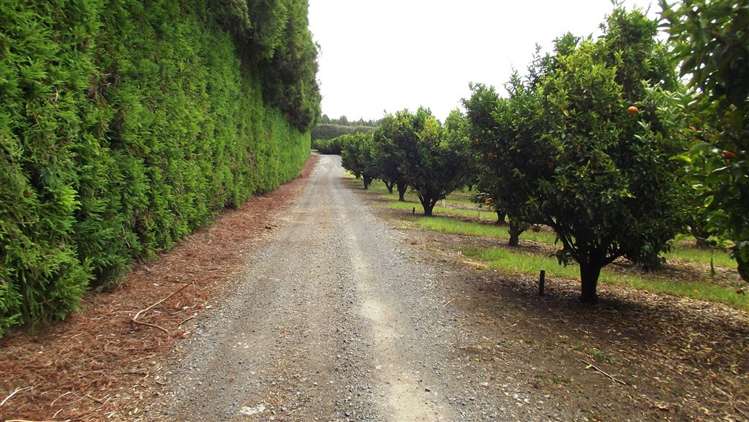 517 Kerikeri Road Kerikeri_15