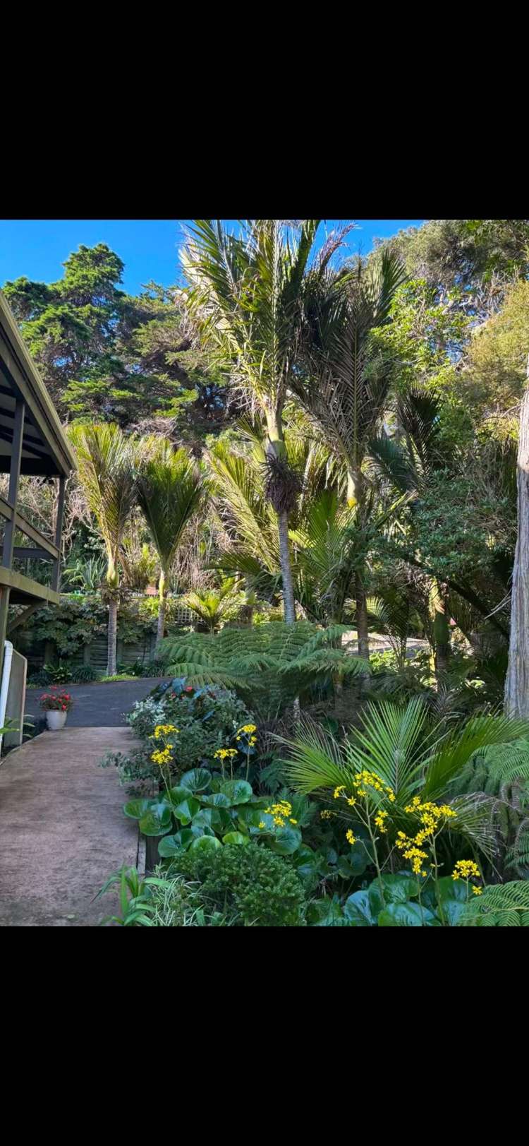 287 Glenvar Road Long Bay_17