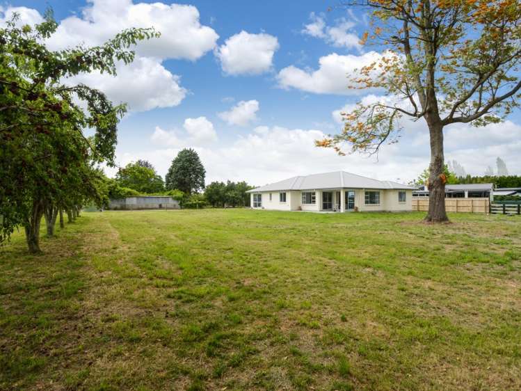 35 Jervois Road Jervoistown_0