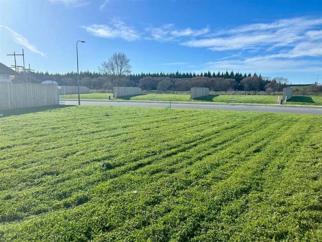 3 Bastings Street Kaiapoi_4