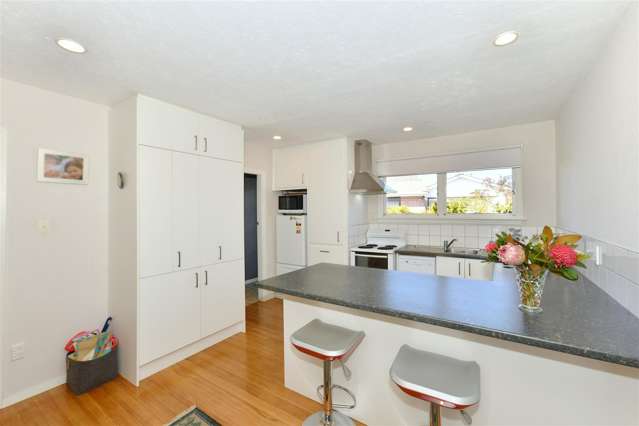 472 Wairakei Road Burnside_3