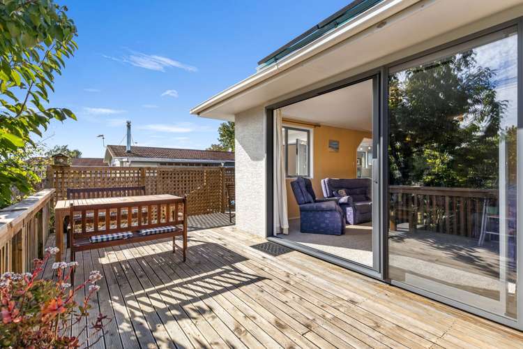 29 Havelock Street Renwick_7