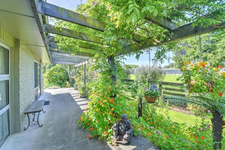 56 Racecourse Road Gore Surrounds_21