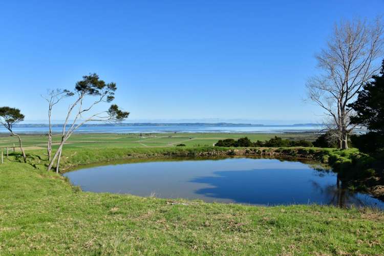 3356 Kaipara Coast Highway Glorit_41