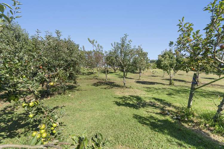 255 Kaihihi Road Okato_32