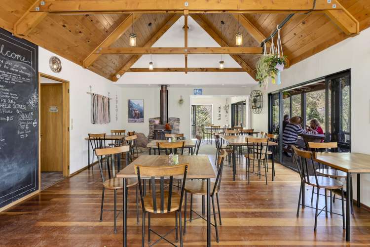 194 Cable Bay Road Hira_10