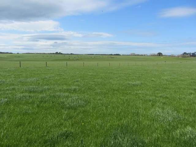 520 Waipango Ermedale Road Riverton & Surrounds_4