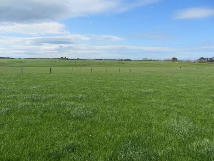 520 Waipango Ermedale Road Riverton & Surrounds_4