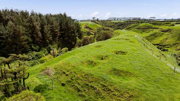 53 Muggeridge Road Manutahi_46