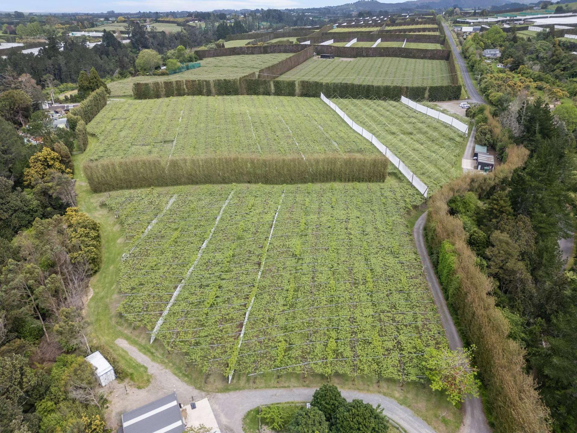 121A No 4 Road Te Puke_0