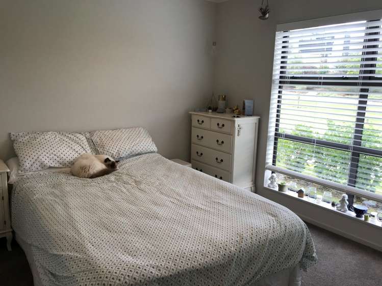 19 Anselmi Ridge Road Pukekohe_9