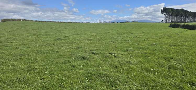 1028 Main North Road Onaero_22