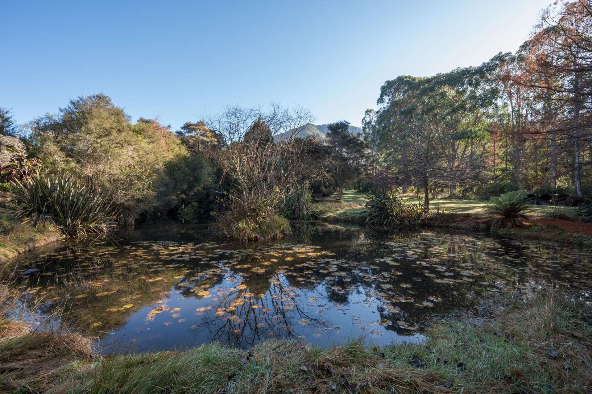 168 Graham Valley Road Motueka_0