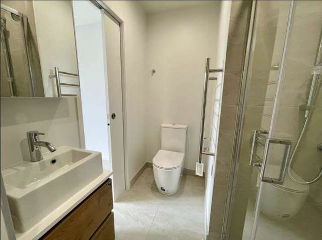 117/19 Lyon Avenue Mt Albert_4