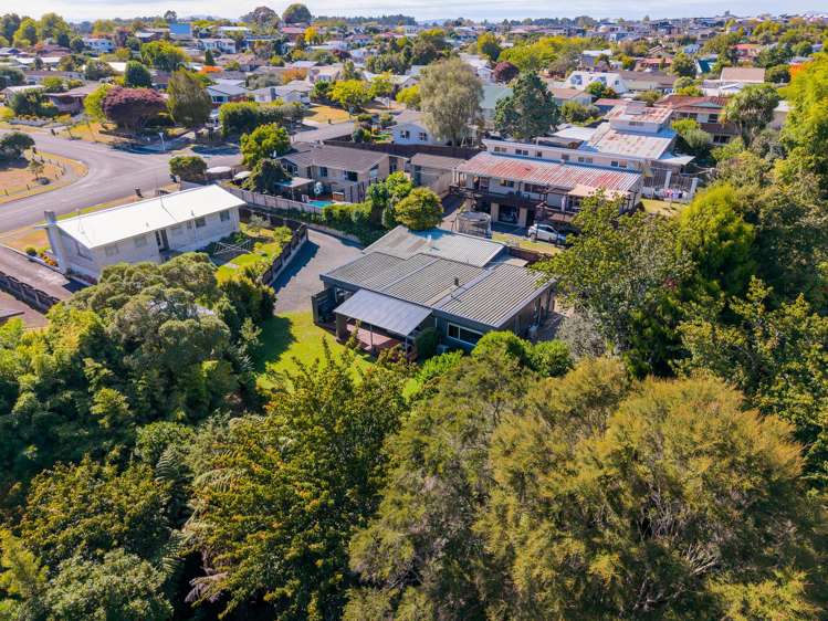 24 Splitt Avenue Glenview_20