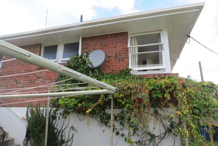 1/6 Hemi Street Narrow Neck_4