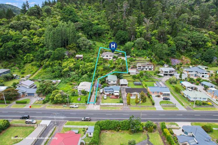 734 Tararu Sh25 Road Thames_28