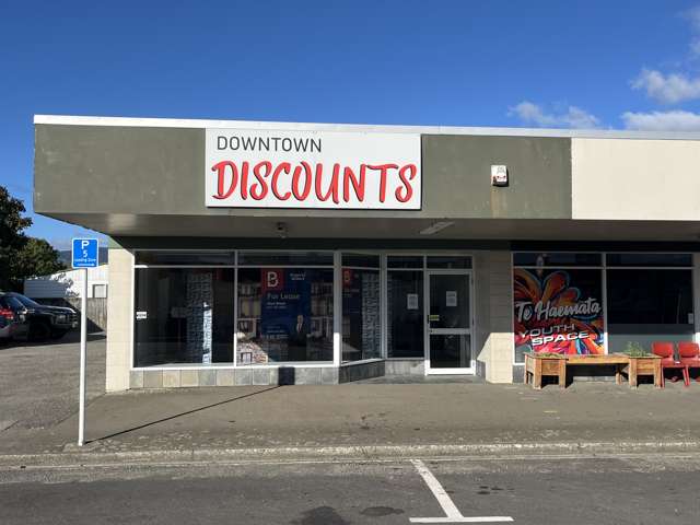 84 Mill Road Otaki_1