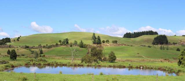 81 Ruapekapeka Road Towai_4