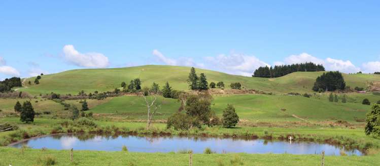 81 Ruapekapeka Road Towai_4