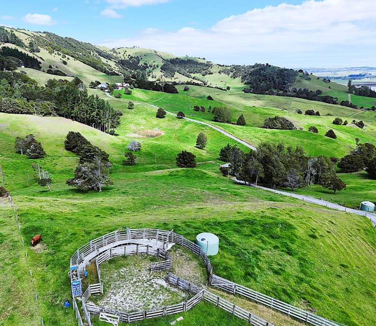 136 Whakahara Road Dargaville_27