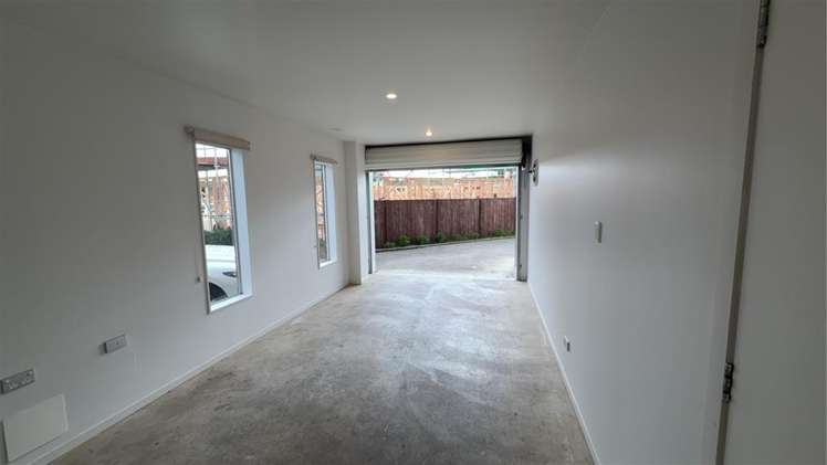 1/4 Littler Place Hamilton East_5
