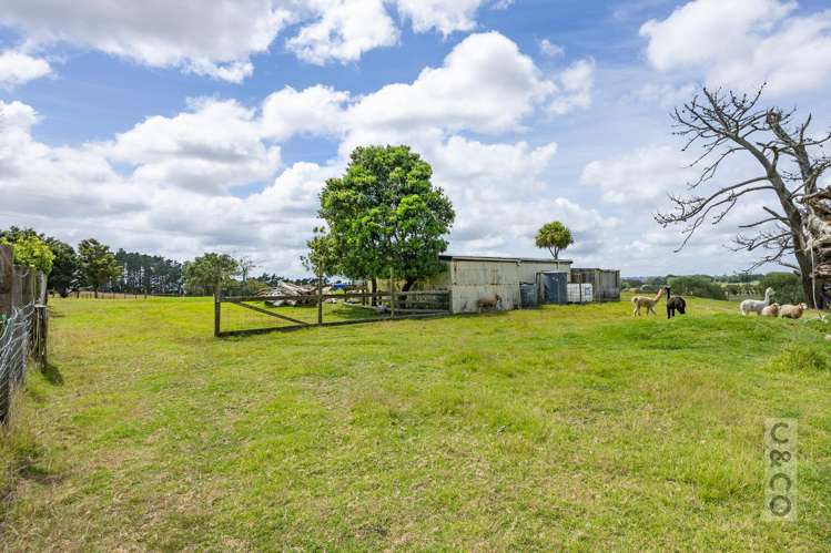 279 Fordyce Road Helensville_34