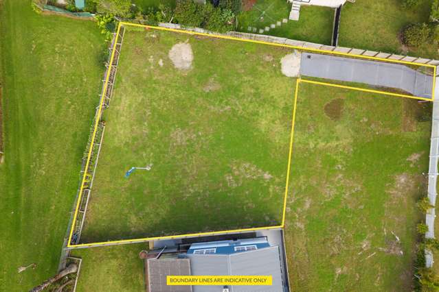 Build Along the Vines