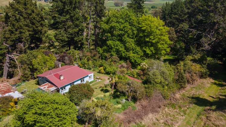 258 Aporo Road Tasman_9