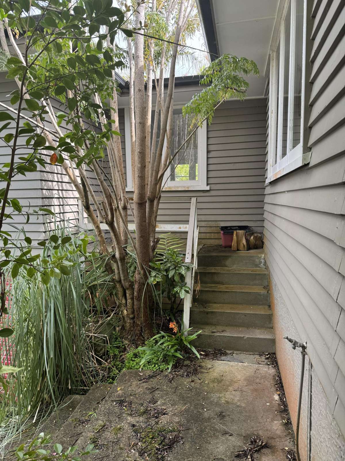 23 Montgomery Avenue_1