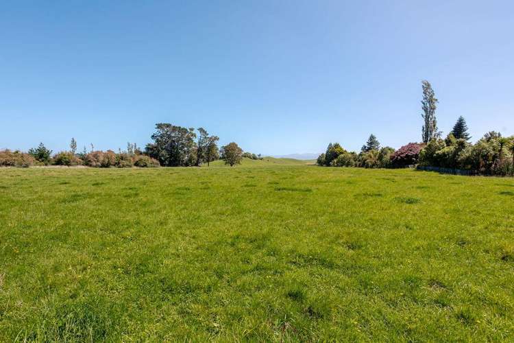 61 Church Road Dannevirke_1