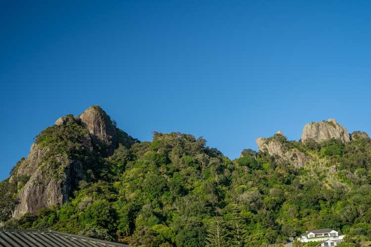 114 Reotahi Road Whangarei Heads_29