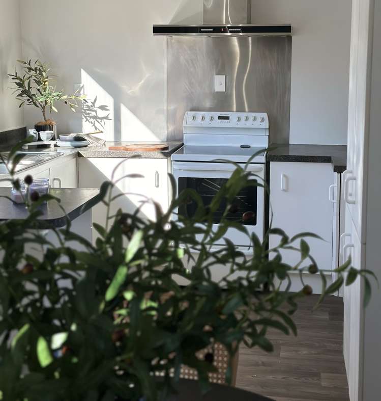 13 Solomon Street Brookfield_14