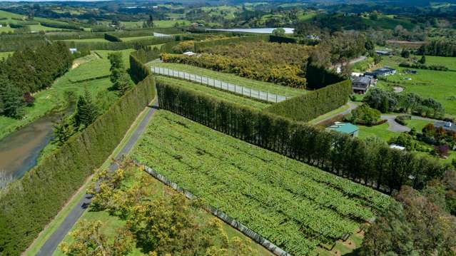 12 Sargent Drive Whakamarama_3