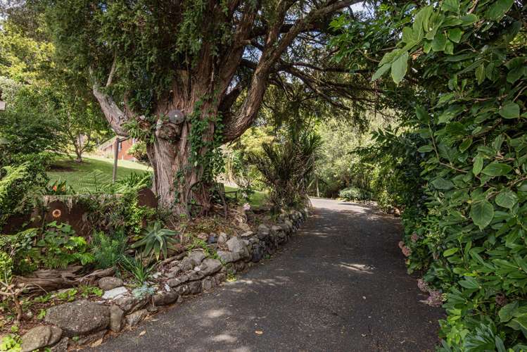 77B Whau Valley Road Whau Valley_19