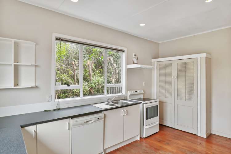 62a Don Buck Road Massey_9