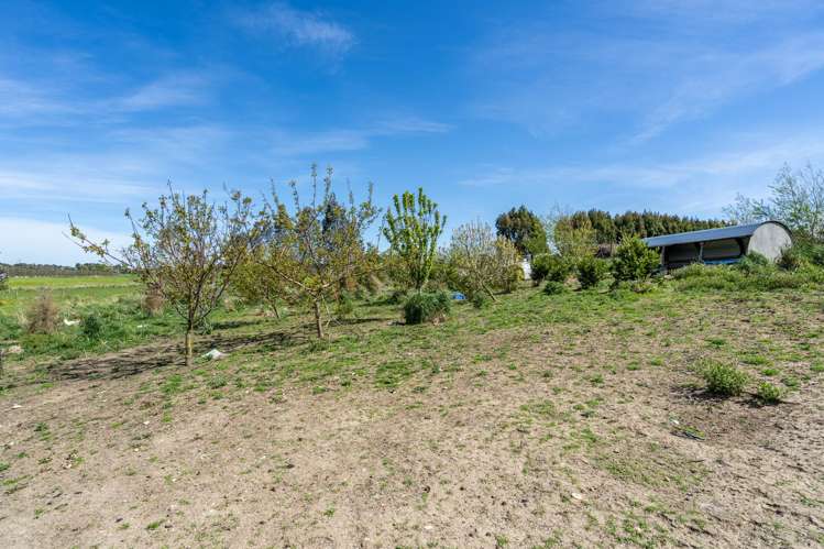 67 Caldwell Lane Roslyn Bush_5