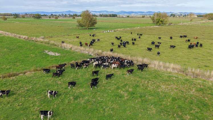 1338 State Highway 25 Pipiroa_5