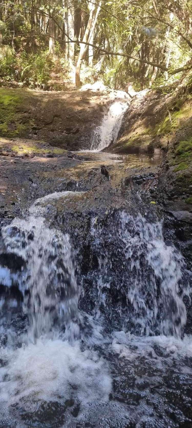 308 Monowai Road Wainui_9