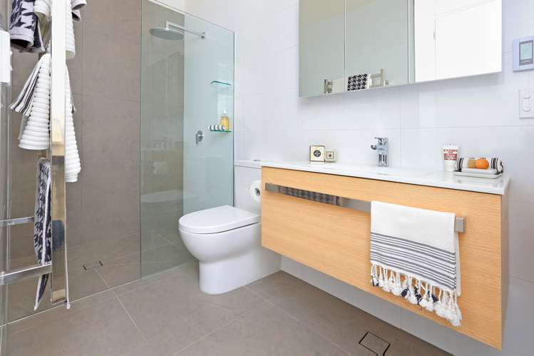 381 Murphys Road Flat Bush_6