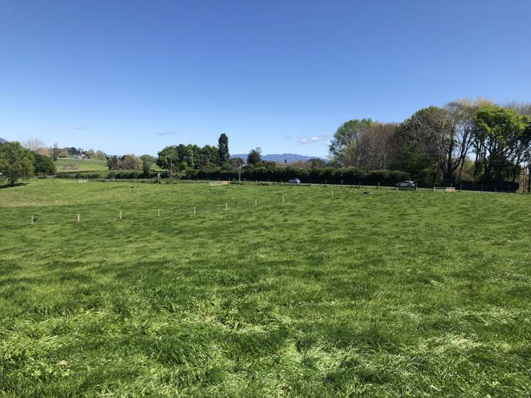 1026 Limeworks Loop Road Karamu_37