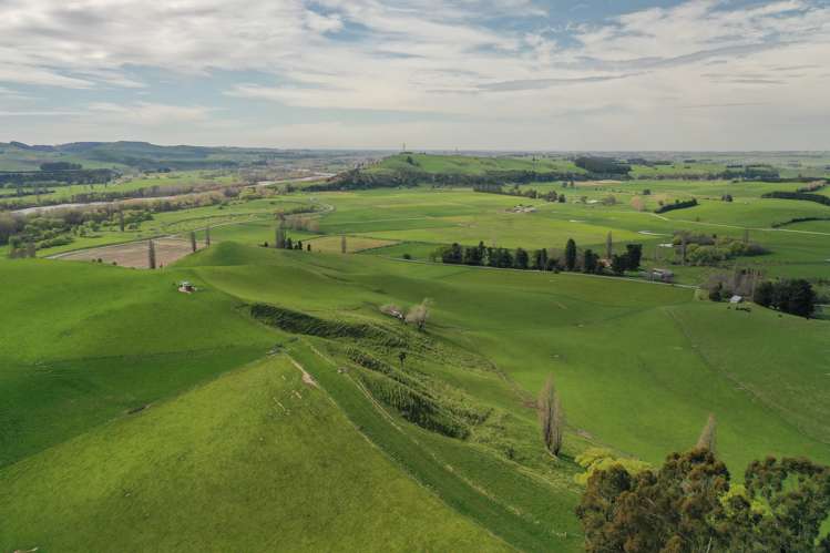 22 Hazelburn Road Pleasant Point_24