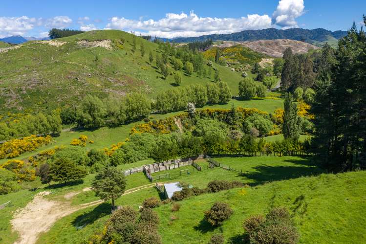 South Road Opunake_6