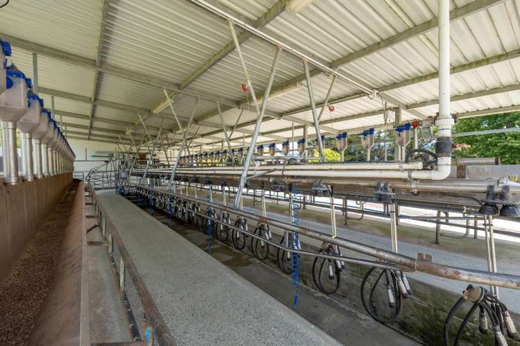 1153 Shenandoah Highway Murchison_2