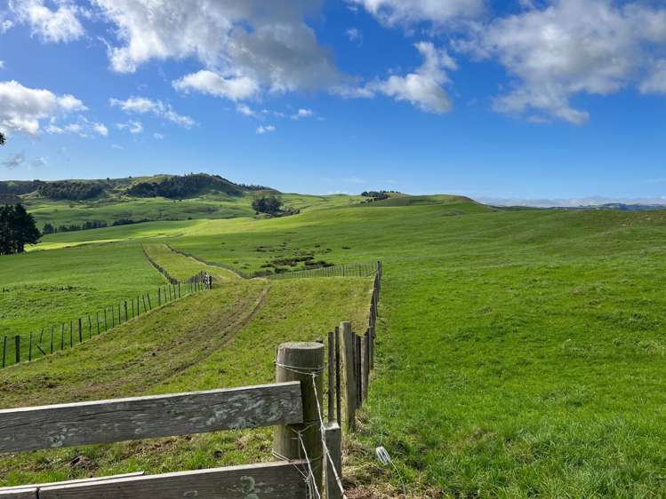 401 Waikaretu Valley Road Glen Murray_17