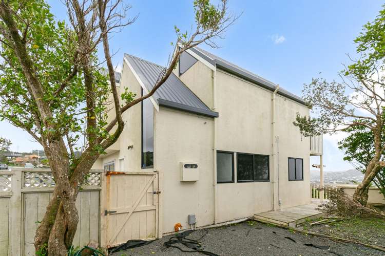 12 Ashton Fitchett Drive Brooklyn_15